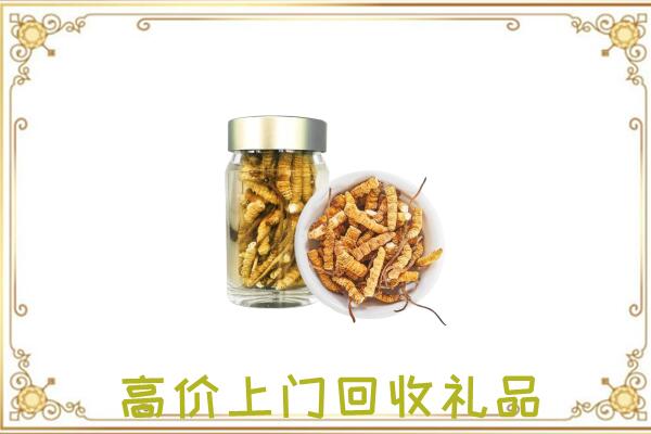 乌兰察布周边回收虫草